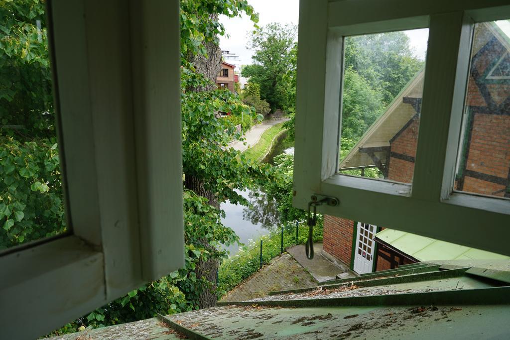 Alejos Namelis Palanga Quarto foto